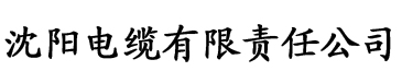 香蕉久久久精品国产免费电缆厂logo